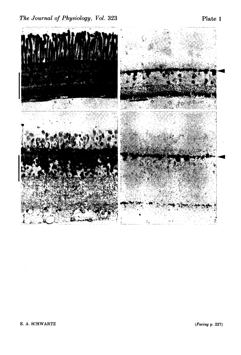 226-2