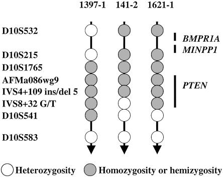 Figure  2