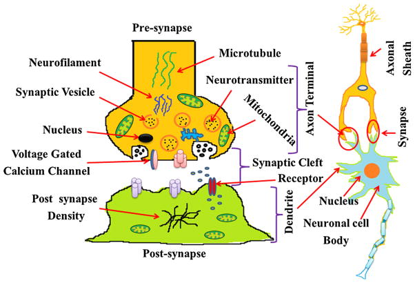 Fig. 2