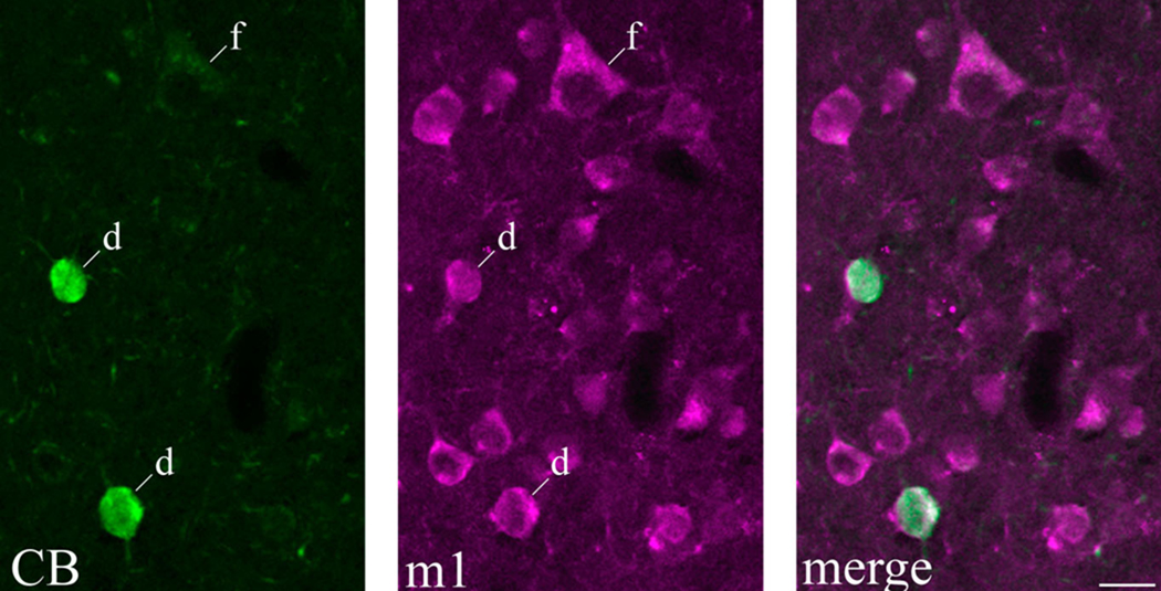 Fig. 3