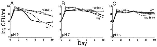 FIG. 2.