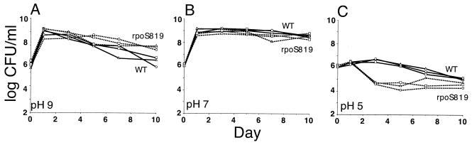 FIG. 5.