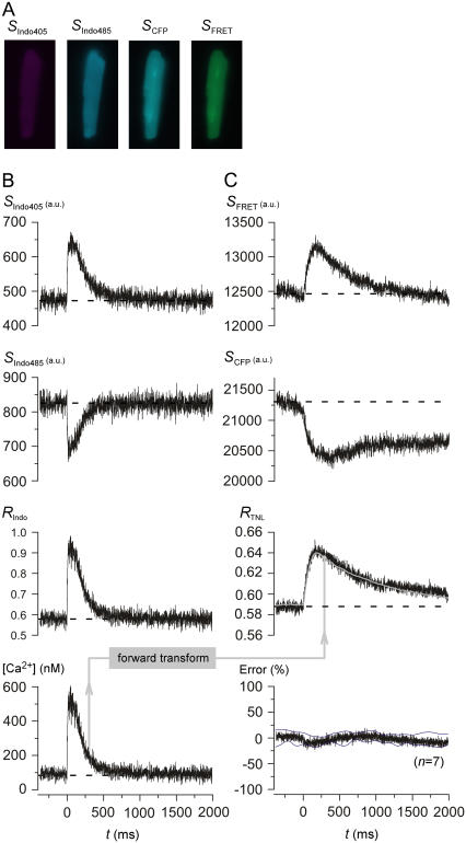 FIGURE 2