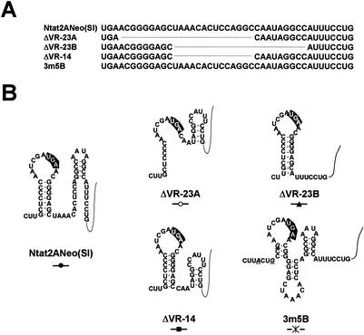 FIG. 7.