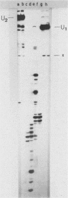1895