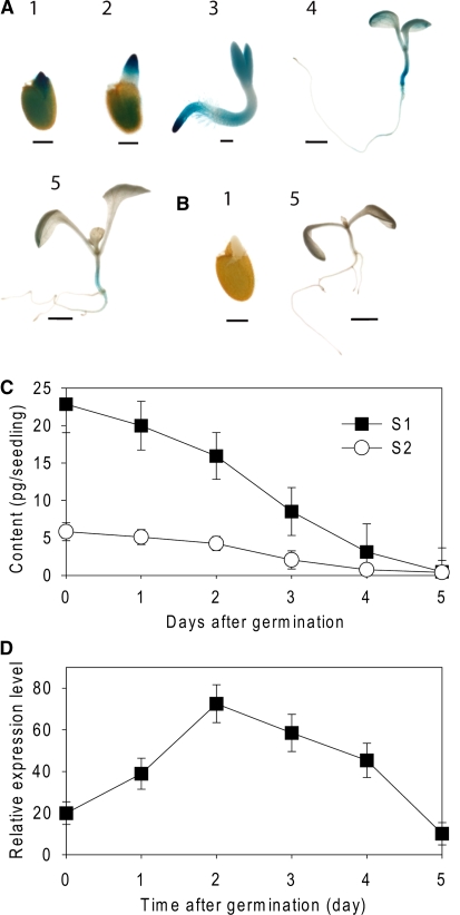 Figure 5.