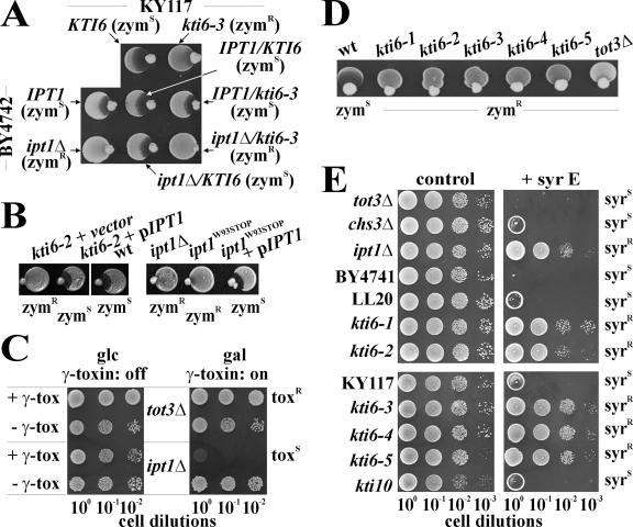 FIG. 3.