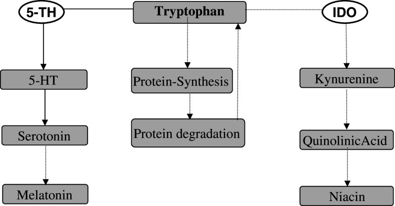 Fig. 1