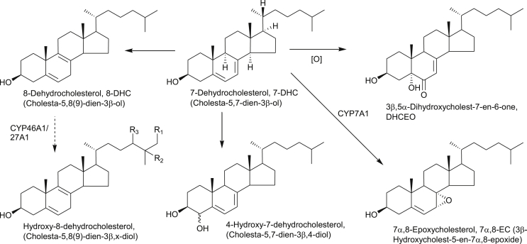 Fig. 5