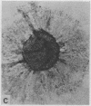 109