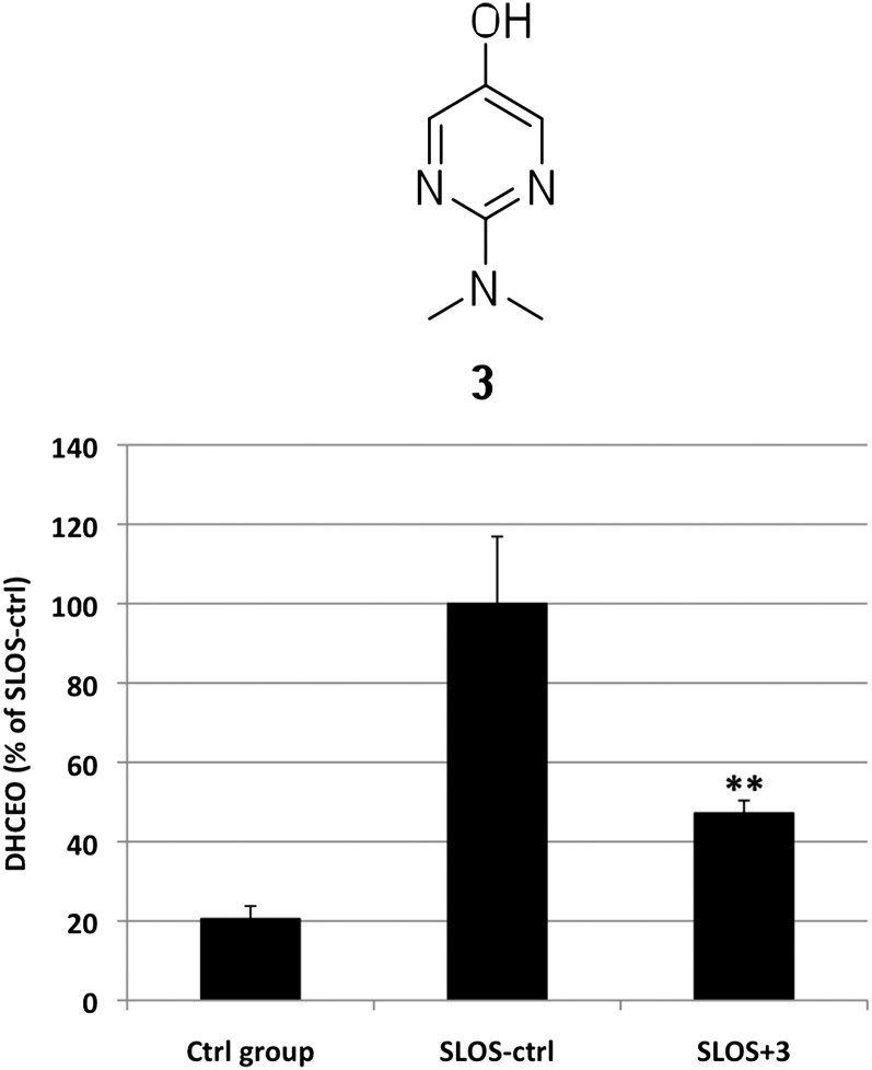 Fig. 8.