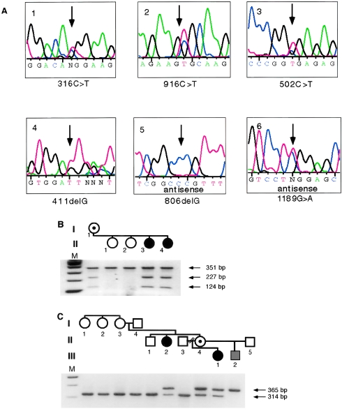 Figure  1