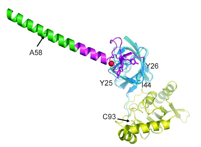 Supplementary Figure 1