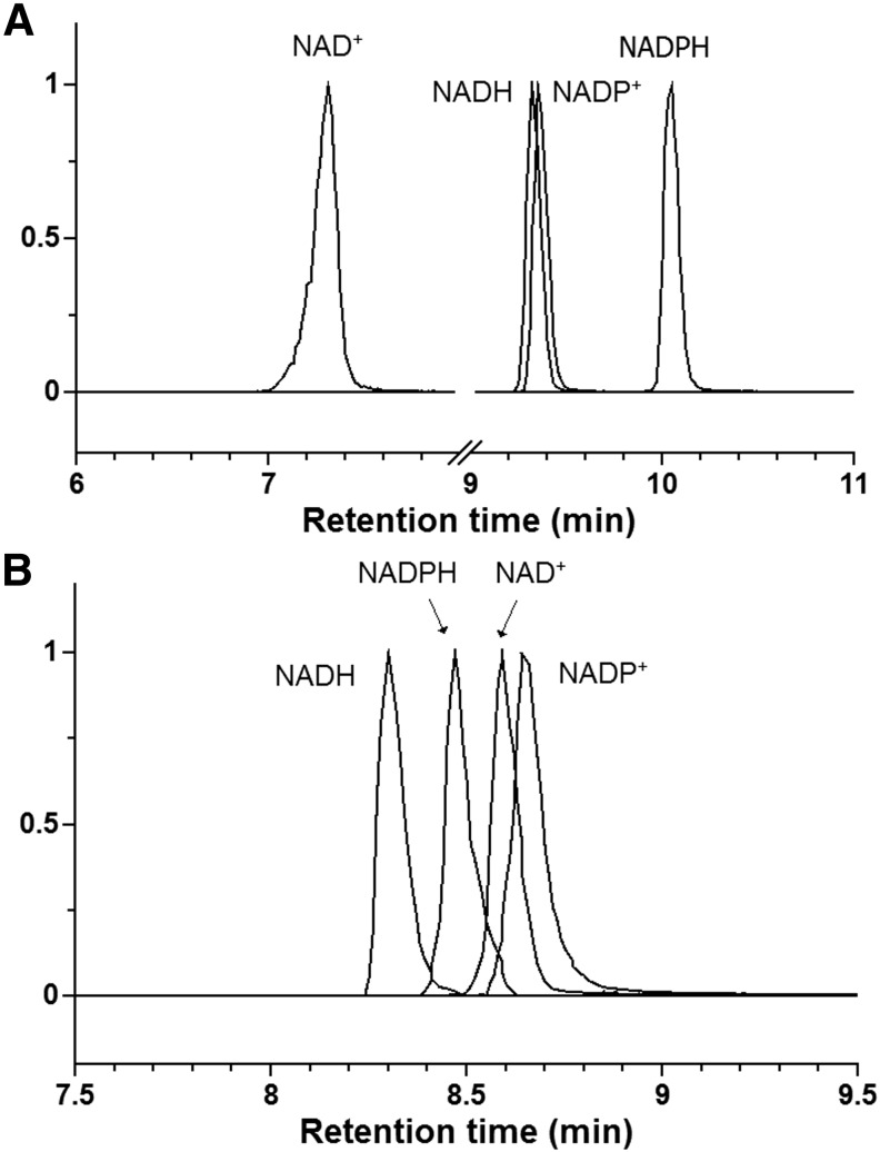 FIG. 1.