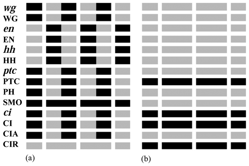 Fig. 5.
