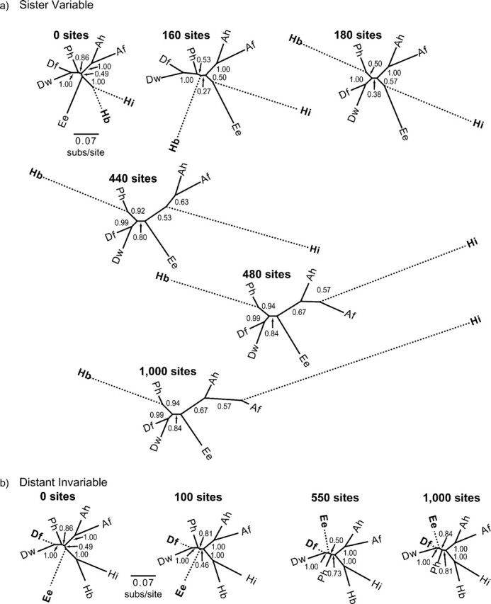FIGURE 7.