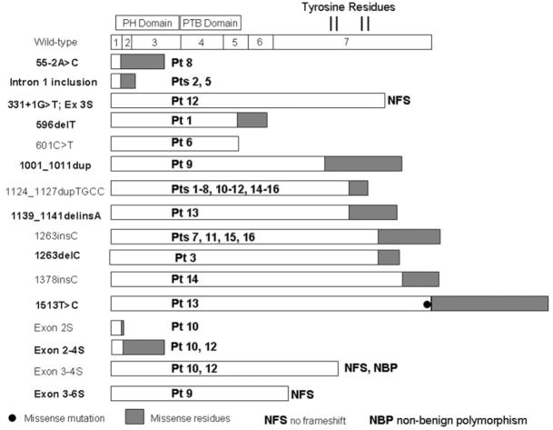 Fig 8