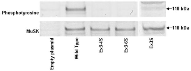 Fig 10