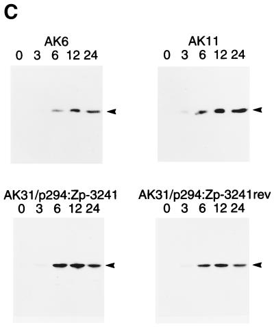 FIG. 2