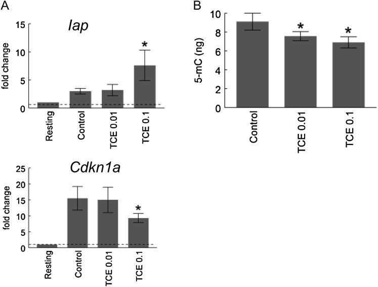 FIG. 7.