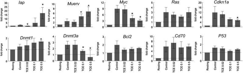 FIG. 6.