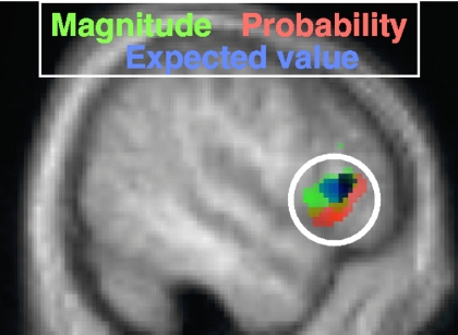 FIG. 5.