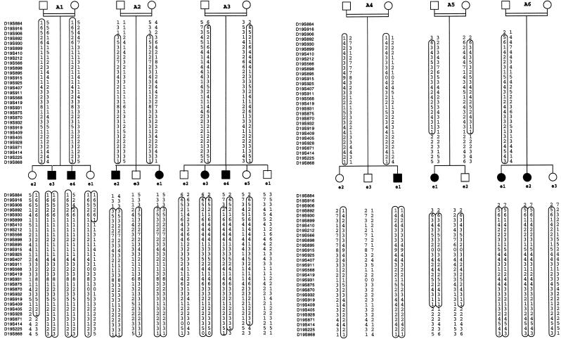 Figure  1