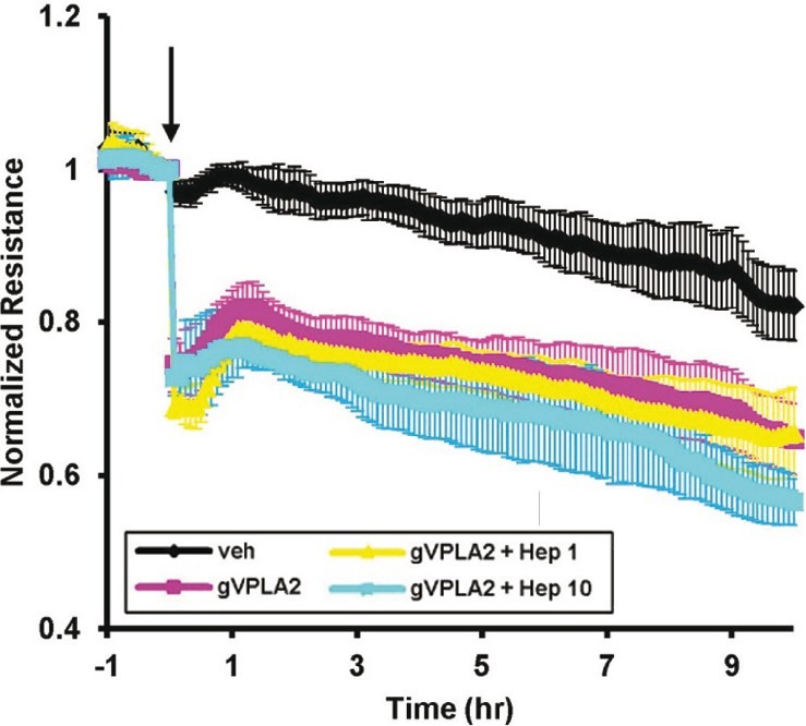 Figure 10