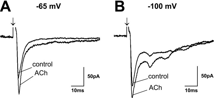 Fig. 11.