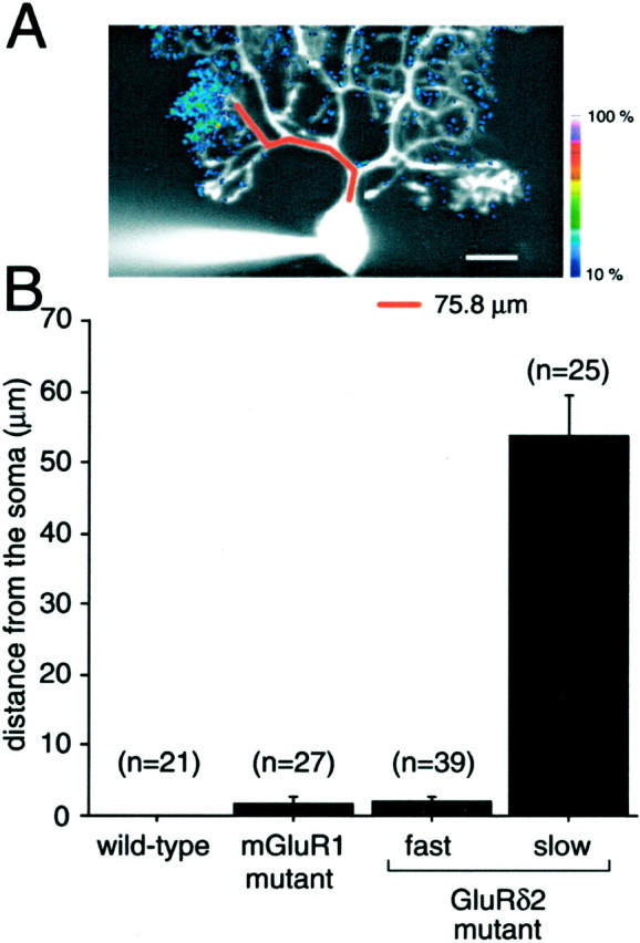 Fig. 10.