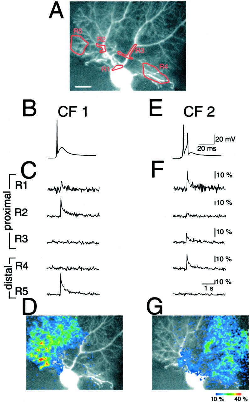 Fig. 7.