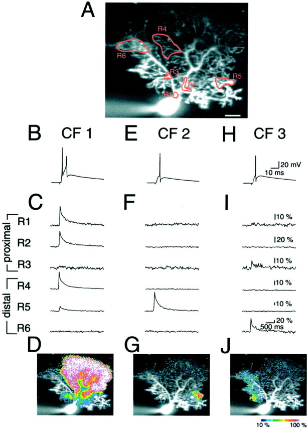 Fig. 9.