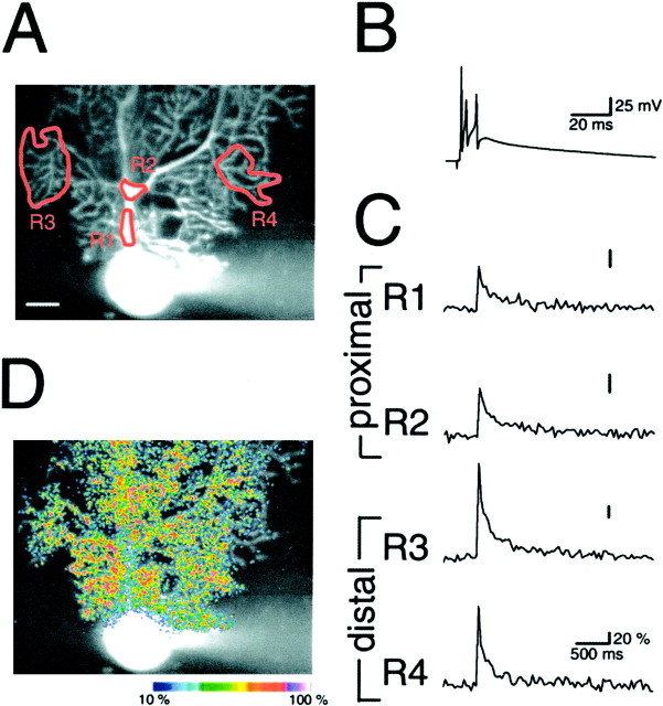 Fig. 6.