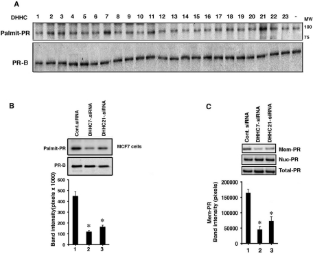 FIGURE 5: