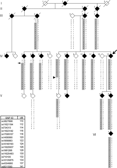 graphic file with name znl0301079250001.jpg