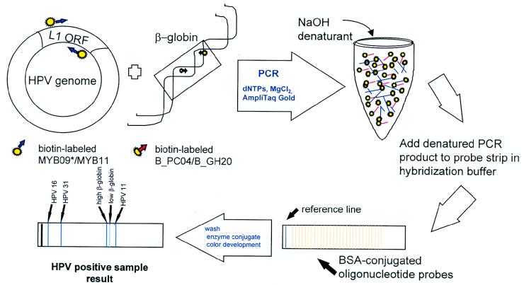 FIG. 1