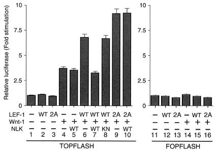 FIG. 6.