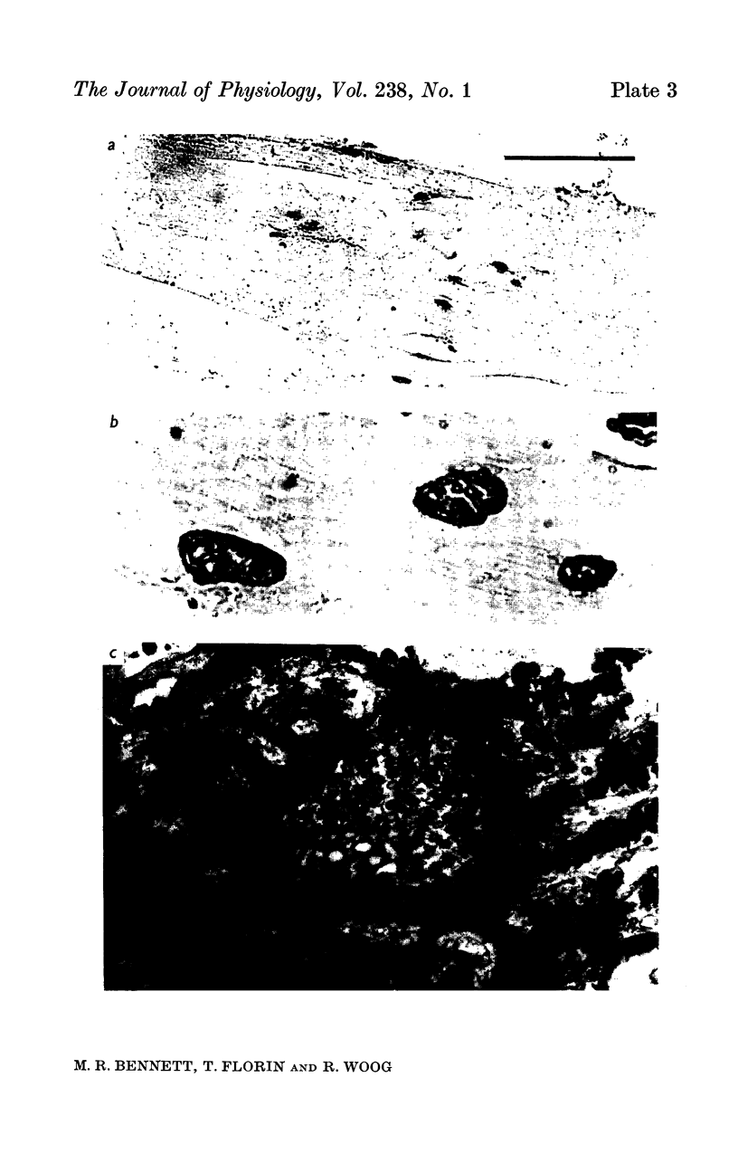 92-3