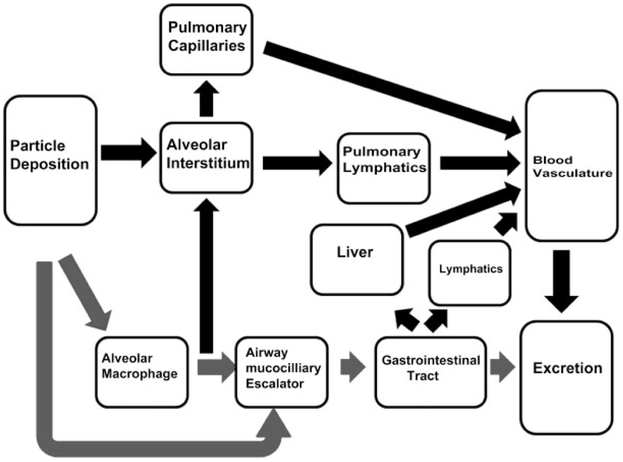 Figure 15.