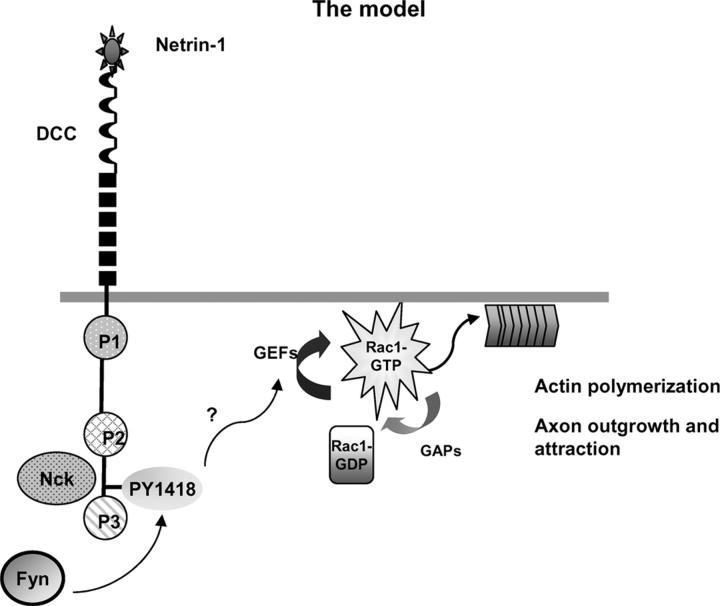 Figure 9.