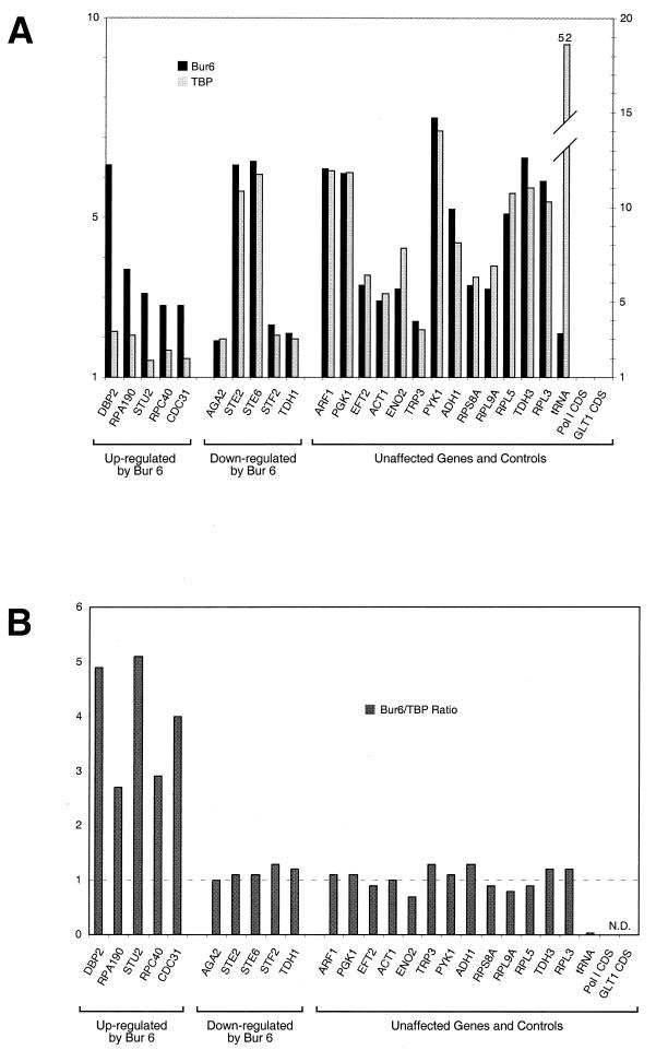FIG. 6