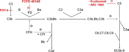 Fig. 1