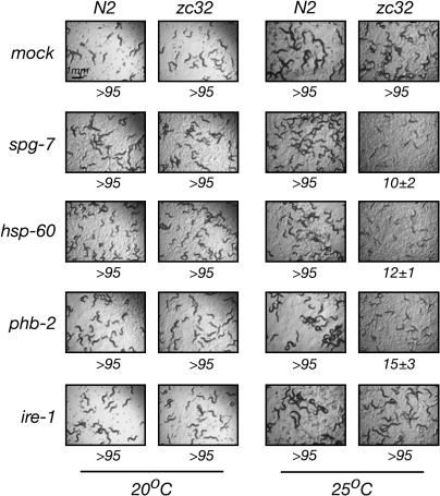Figure 2.—
