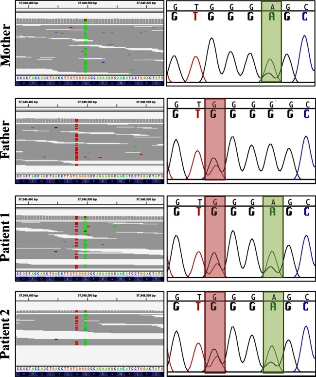 Figure 3