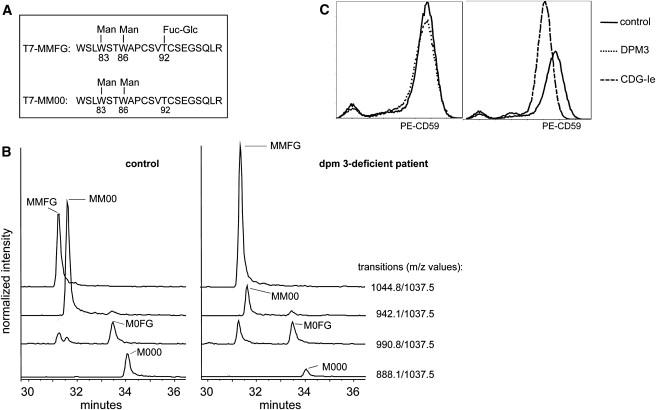 Figure 7