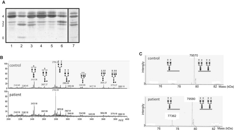 Figure 3