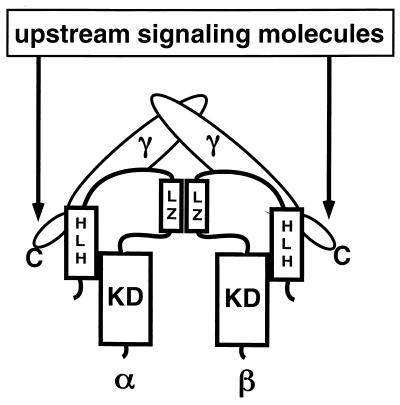 FIG. 1
