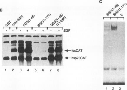 graphic file with name molcellb00020-0202-b.jpg