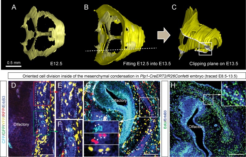 Figure 4—figure supplement 1.