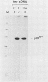 2513